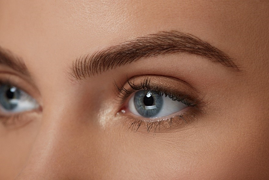 Close up of woman's eyebrow and eye